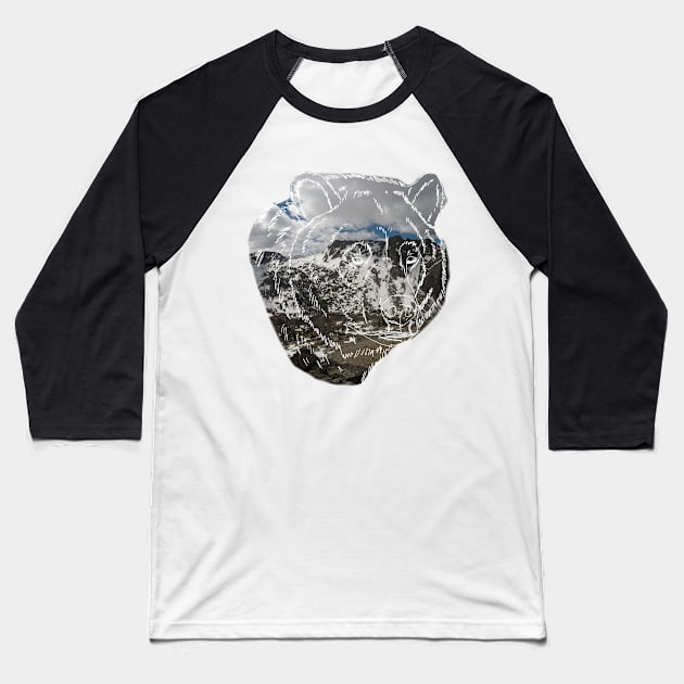 Wind  River Bear Baseball T-Shirt by lilydlin